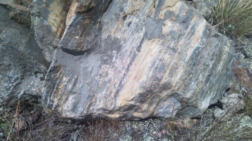 Гигантские зелёные валуны для ландшафтного дизайна весом более 5 тонн купить в Ярославской области